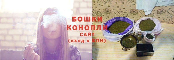 соль ск Липки