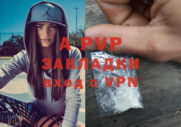 шишки Лиски