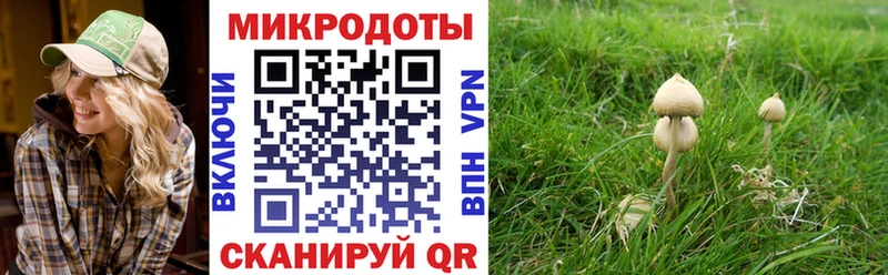 Галлюциногенные грибы MAGIC MUSHROOMS Мыски