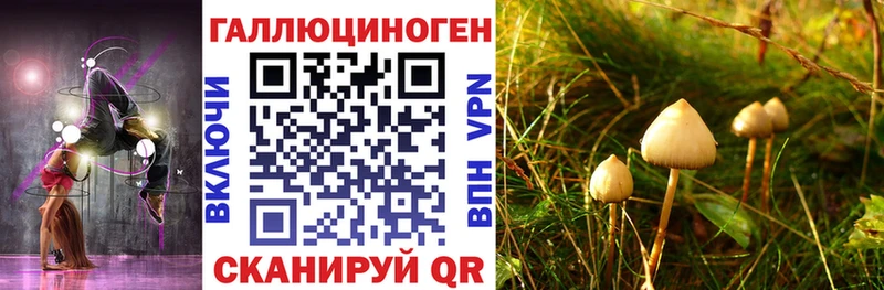 Галлюциногенные грибы Psilocybe  Мыски 