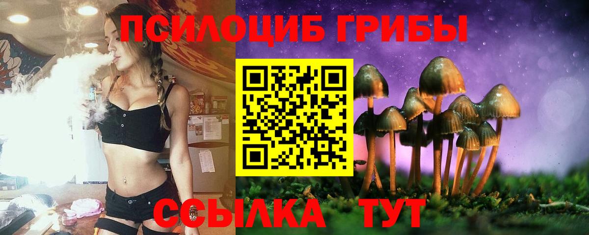 как найти наркотики  Мыски  Галлюциногенные грибы GOLDEN TEACHER  Псилоцибиновые грибы мухоморы 