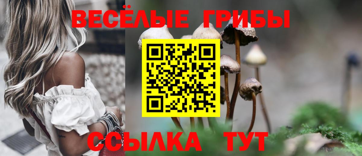 ГЕРОИН Мыски